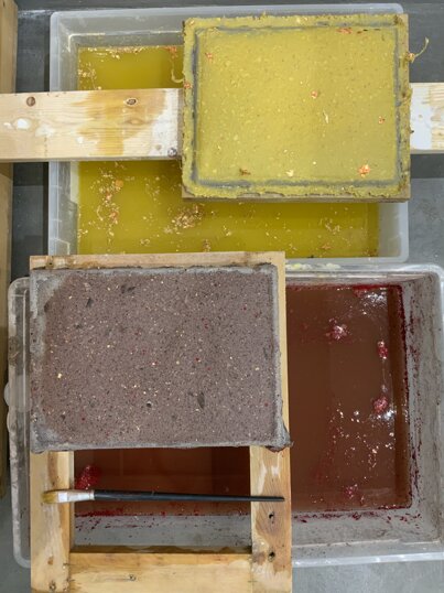 img_0194.jpeg img_0194.jpeg