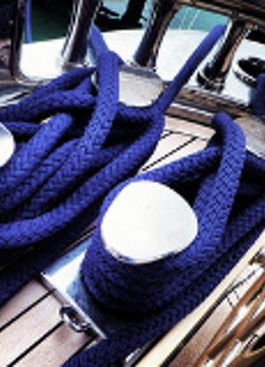 sean-benesh-ccgwujqouec-unsplash