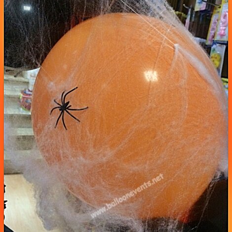 Ragnatele Halloween PRato