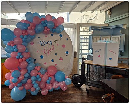 Gender Reveal Pristoia