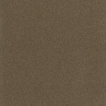 appendiabiti-libellula