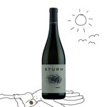 merlot-di-sturm-2019