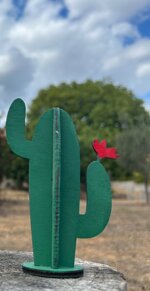 cactus-fico-dindia-ornamentale