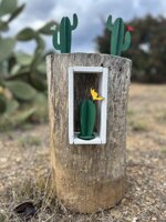 cactus-fico-dindia-ornamentale