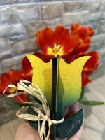 tulipani-in-legno-colorato-10-cm