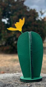 cactus-fico-dindia-ornamentale