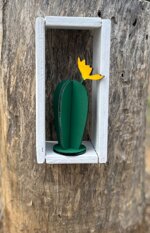 cactus-fico-dindia-ornamentale