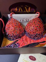 26004-fitness-bikini