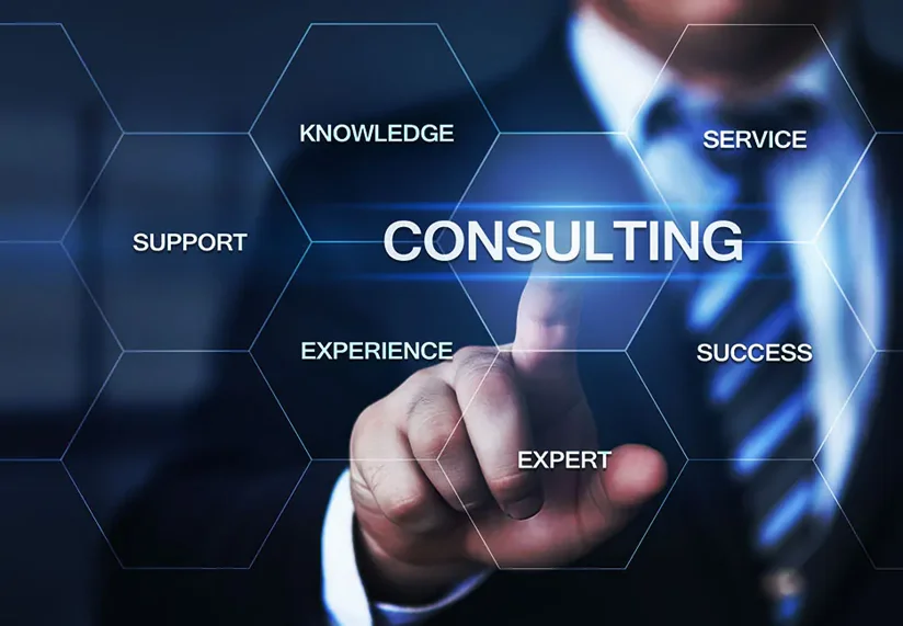 consultancy consultancy