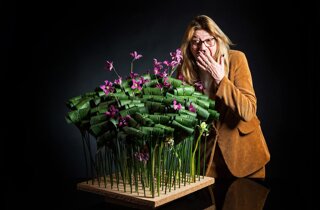 a16f5bfc-4e03-482a-85f7-49682520eb3b.jpeg a16f5bfc-4e03-482a-85f7-49682520eb3b.jpeg