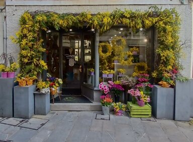 img_1169.jpeg img_1169.jpeg