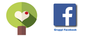 logo palocco on line e facebook