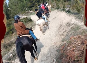 whatsapp%20image%202026-03-22%20at%2016.03.05.jpeg