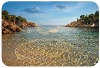 gemini_generated_image_tmem90tmem90tmem(1)