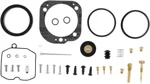 kit-revisione-carburatore-cv-10031274