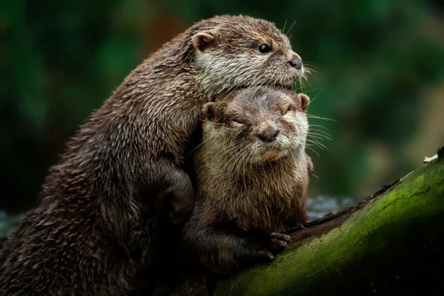 sangur_adobestock_1430520431-2048x1367