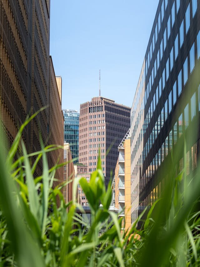 pexels-njeromin-33746514.jpeg