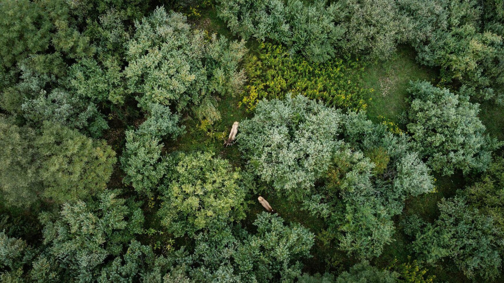 pexels-theo-wave-2516520-5561282.jpeg pexels-theo-wave-2516520-5561282.jpeg