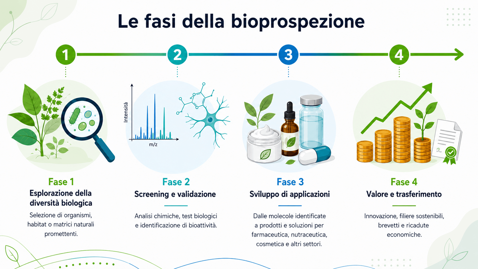 Il percorso della bioprospezione descritto a step dalla fase di scoperta (studio della matrice biologica), caratterizzazione chimica e di bioattività per lo studio delle proprietà bioattive, formulazione e infine la fase di commercializzazione