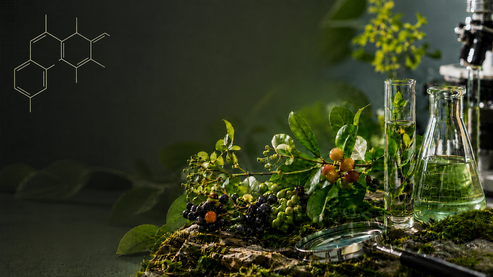 Immagine raffigurante materiale vegetale come foglie, frutti e steli, beute e cilindri da laboratorio contenenti solventi e principi attivi sullo sfondo
