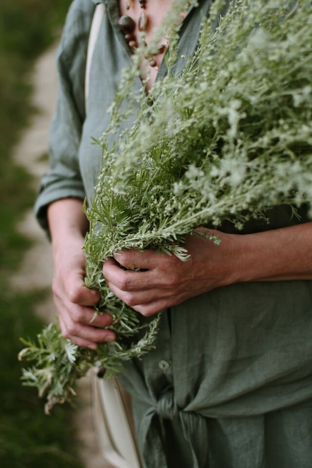 Una signora indigena porta con sè un mazzo di foglie di Artemisia per preparare un estratto anti-malarico