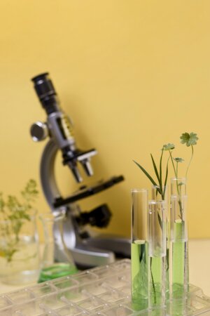 close-up-view-science-concept.jpeg close-up-view-science-concept.jpeg