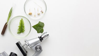 view-plants-laboratory-items.jpeg view-plants-laboratory-items.jpeg