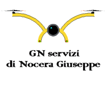 logo gn servizi c-nome