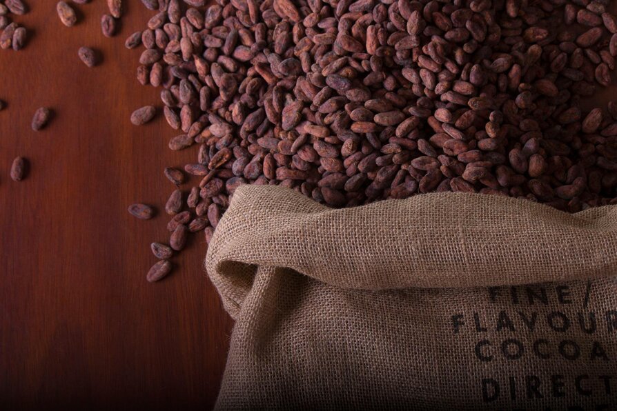 whatsapp image 2026-02-09 at 12.12.45 (2).jpeg