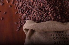 whatsapp image 2026-02-09 at 12.12.45 (2).jpeg