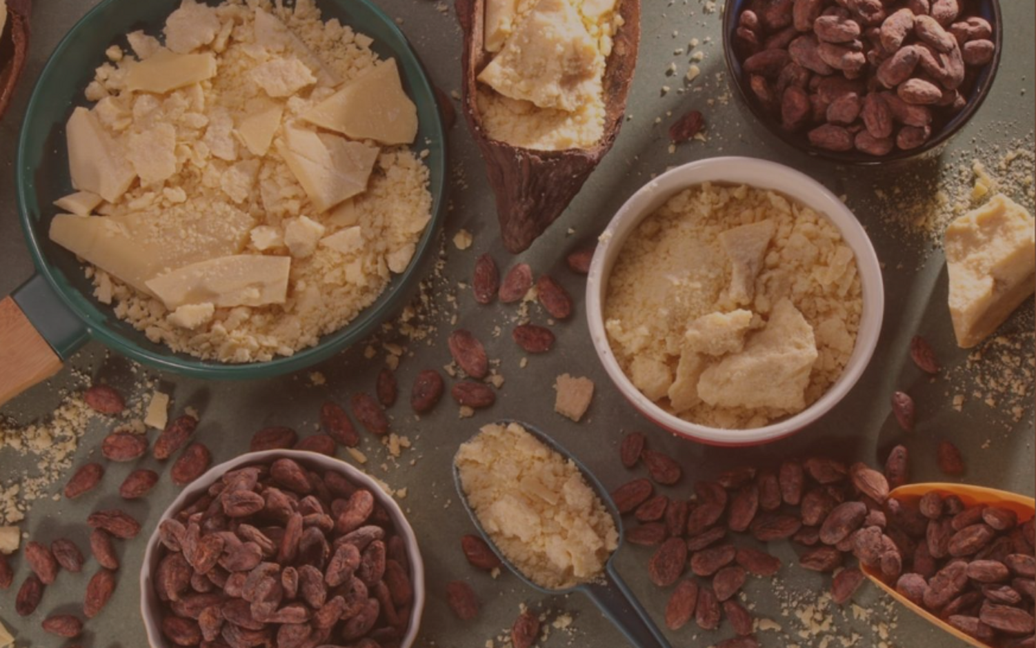 screenshot 2026-03-13 124015