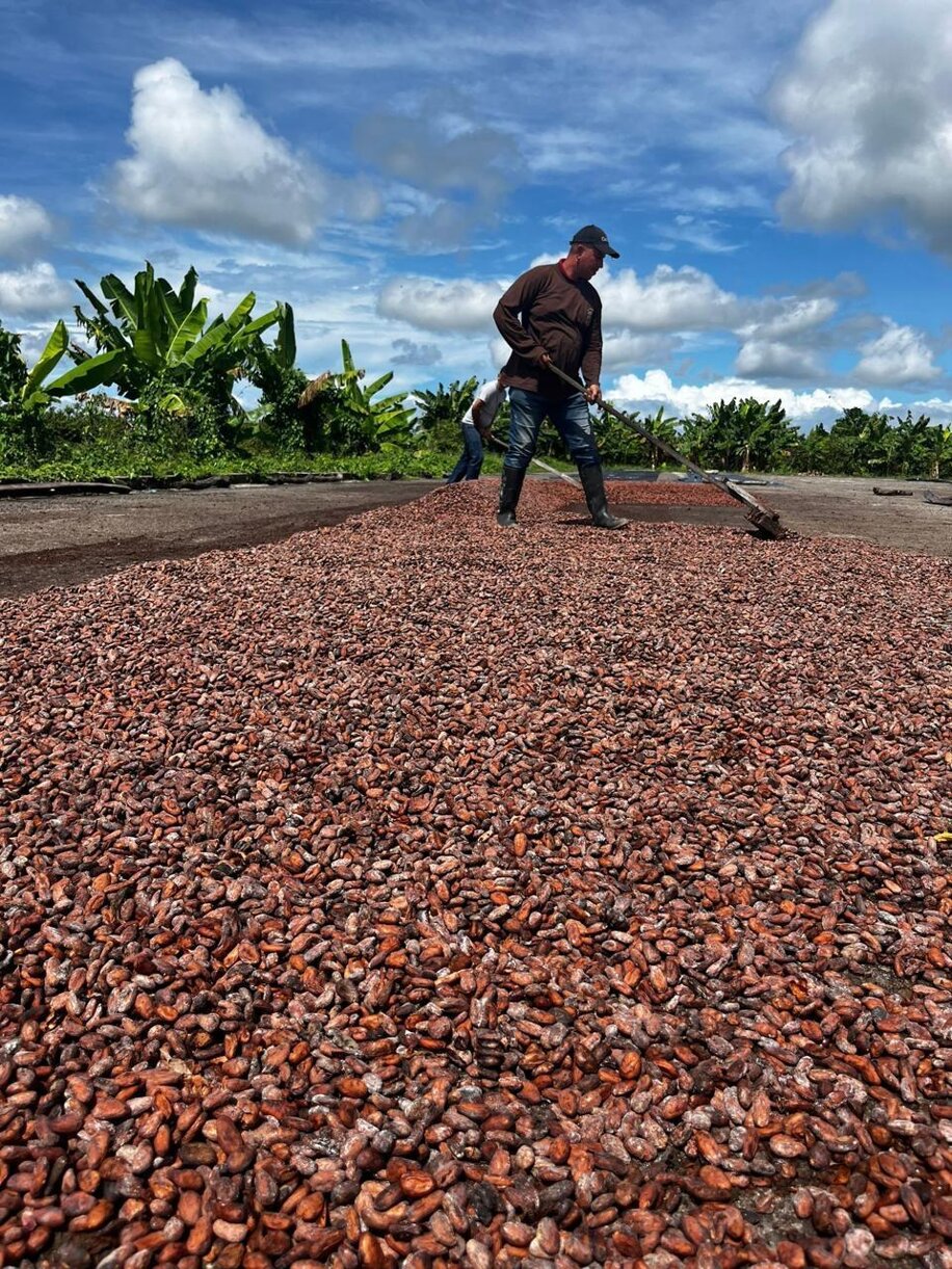 whatsapp image 2026-02-09 at 12.12.45 (5).jpeg