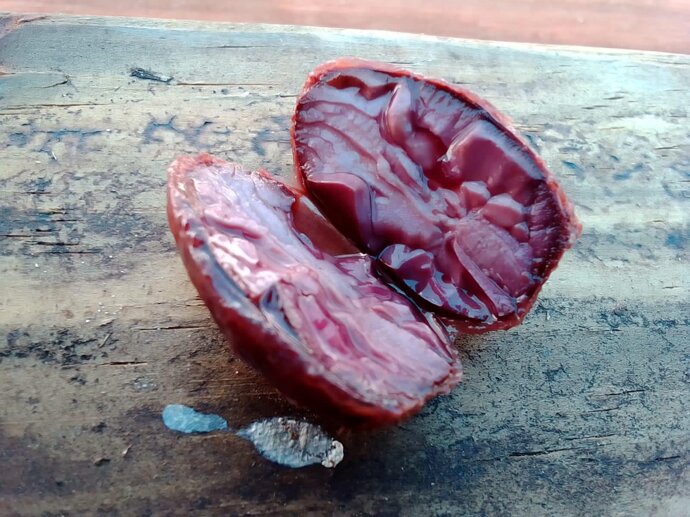 whatsapp image 2026-02-05 at 12.02.39 (2).jpeg