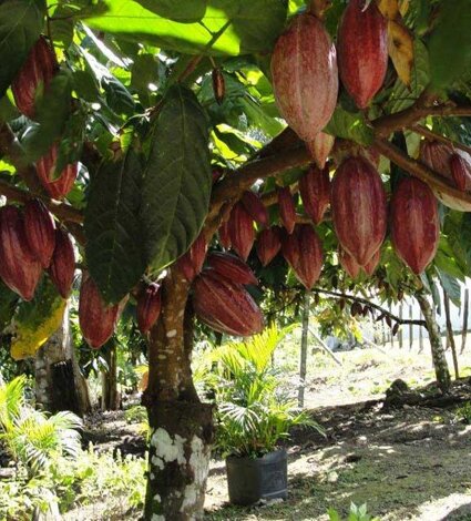 image-345_1532513631491