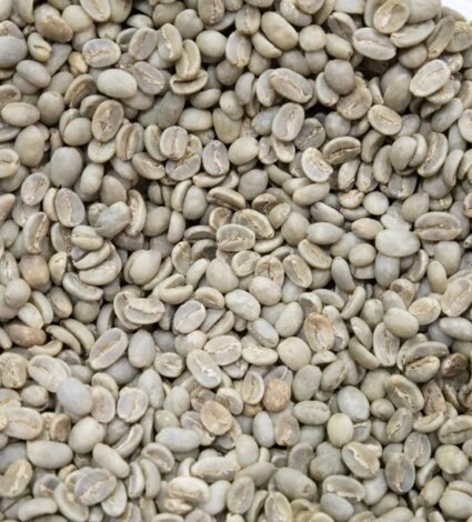 coffea-arabica1-1280x720.jpeg coffea-arabica1-1280x720.jpeg