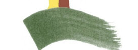 Petrolo