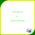 piatti-50pz-tondo-in-polpa-di-cellulosa-bianco