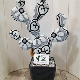 ficurinia D'amuri piante do stoffa ficurinia D'amuri piante do stoffa