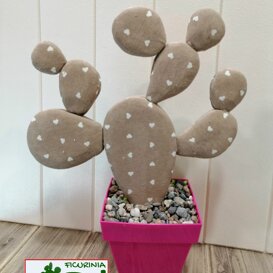 ficurinia D'amuri piante do stoffa ficurinia D'amuri piante do stoffa