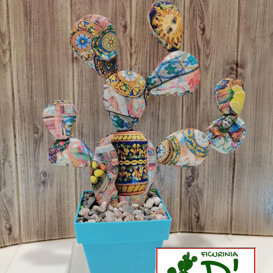 ficurinia D'amuri piante do stoffa ficurinia D'amuri piante do stoffa