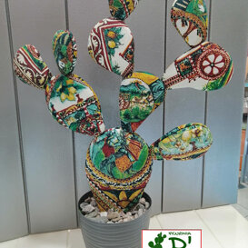 ficurinia D'amuri piante do stoffa ficurinia D'amuri piante do stoffa