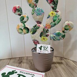 ficurinia D'amuri piante do stoffa ficurinia D'amuri piante do stoffa