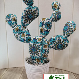 ficurinia D'amuri piante do stoffa ficurinia D'amuri piante do stoffa