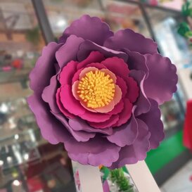 fiore gigante lilla fiore gigante lilla