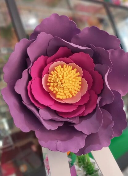 fiore gigante lilla