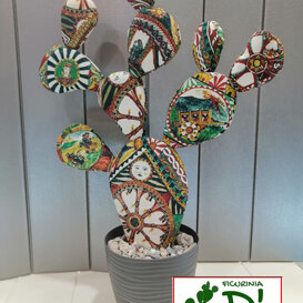 ficurinia D'amuri ficurinia D'amuri