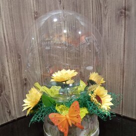 girasole dentro il palloncino girasole dentro il palloncino