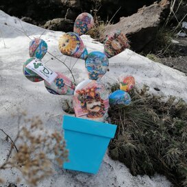 ficurinia D'amuri piante do stoffa ficurinia D'amuri piante do stoffa