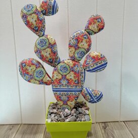 ficurinia D'amuri piante do stoffa ficurinia D'amuri piante do stoffa