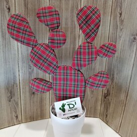 ficurinia D'amuri piante do stoffa ficurinia D'amuri piante do stoffa